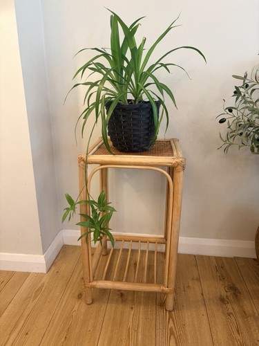 Vintage cane bamboo - vintage,