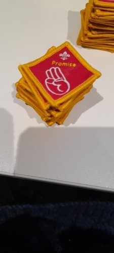 Vintage cub badge promise - vintage,