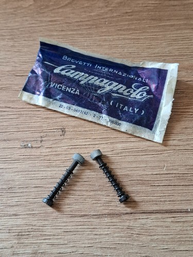 Campagnolo rear dropout - campagnolo,