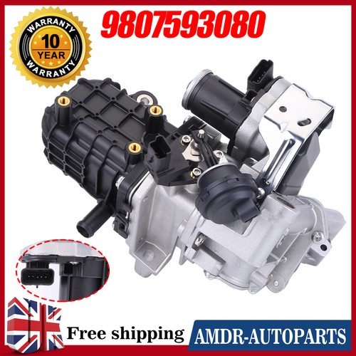 Egr valve module - module, for