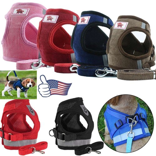 Pull dog pet harness - no, lead