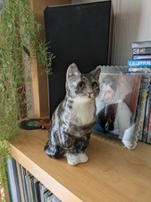 Winstanly tabby cat sitting - tabby,