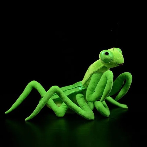 Green orchid mantis - 11, inch