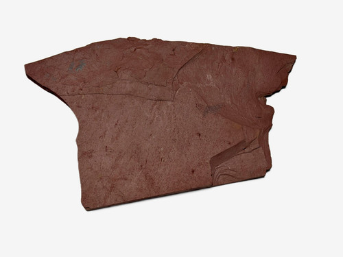 Large natural red - large, slate