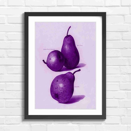 Vintage botanical pear study - vintage,