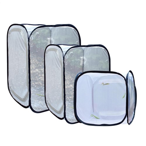 Foldable insect butterfly - insect,