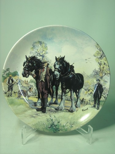 Choose one more plates - choose,