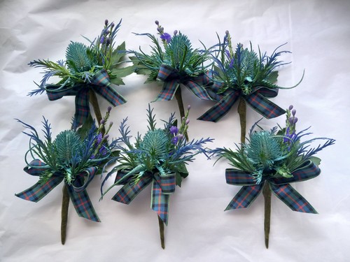 Blue green thistle - 6,
