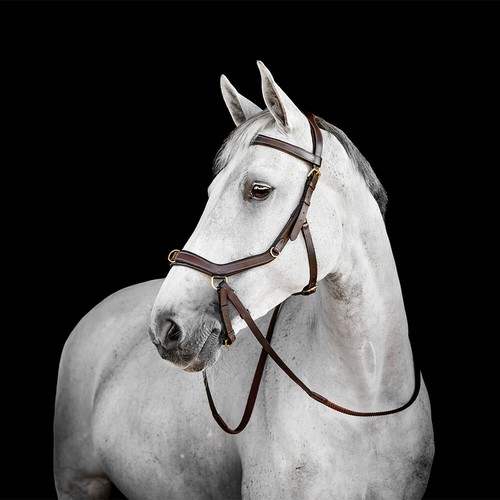 Horseware micklem multi bridle - micklem,