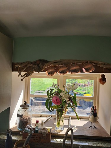 Driftwood sea wood - sea,