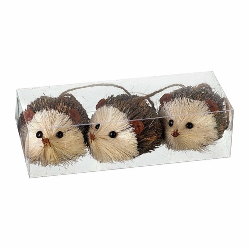 Set bristle hedgehog - of,