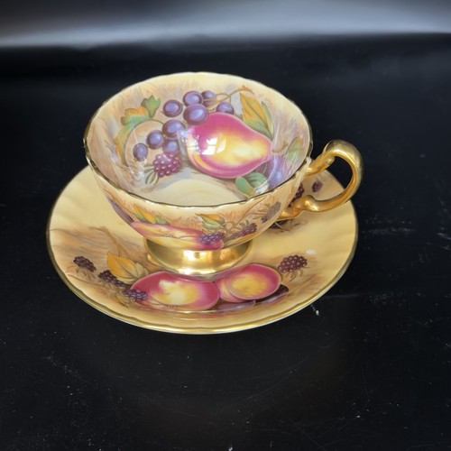 Aynsley orchard gold - orchard, cup