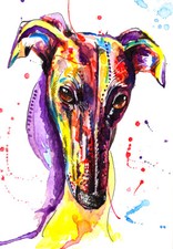 Greyhound Whippet Lurcher art