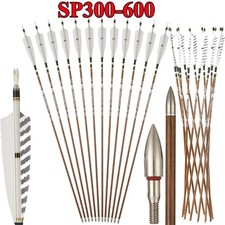 12pcs carbon arrows sp300 - ,