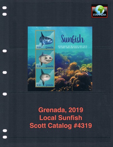 Scott value 2019 - $12.50,