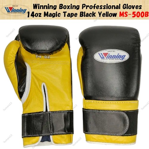 Winning boxing professional - winning,