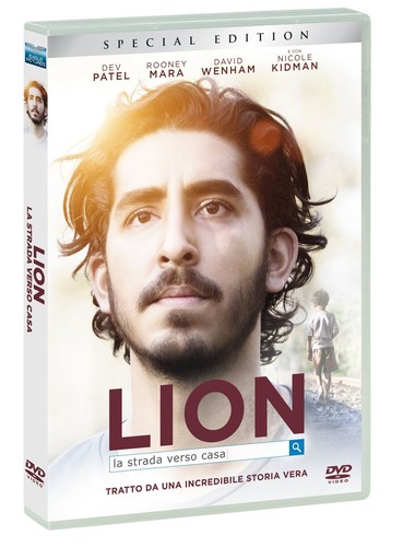 Lion strada verso casa - la,