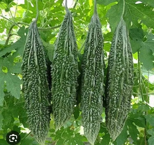 বাংলাদেশি
