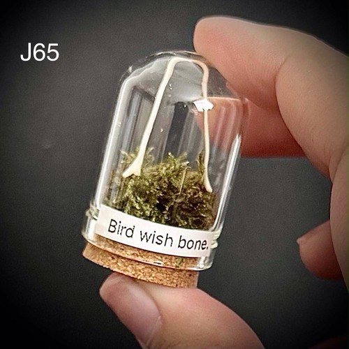 Pigeon wishbone curio glass - pigeon,