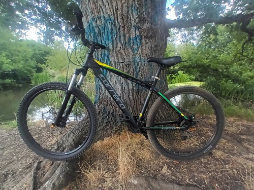Carrera men mountain bike - mountain,