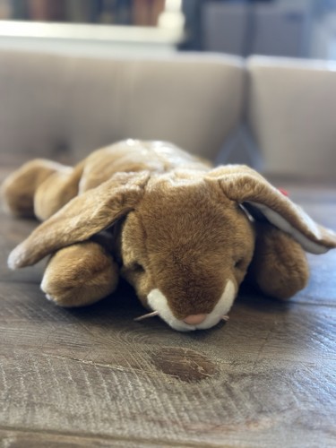 Beanie buddy ears the - buddy,