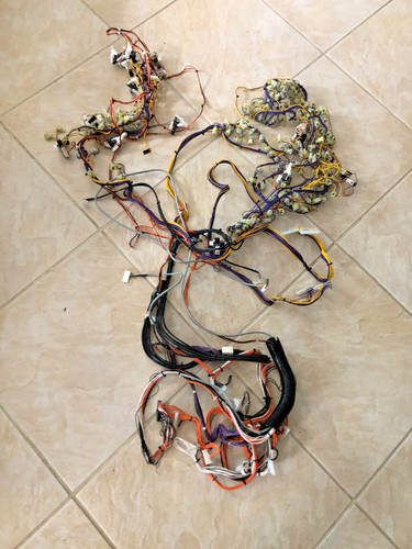 Bell fruit type - loom, lot