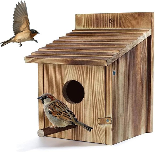 Wooden bird nesting box - bird, box,