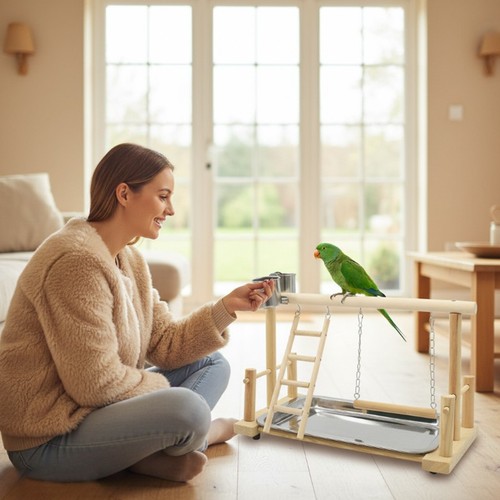 Parrot playstand bird plays - bird,