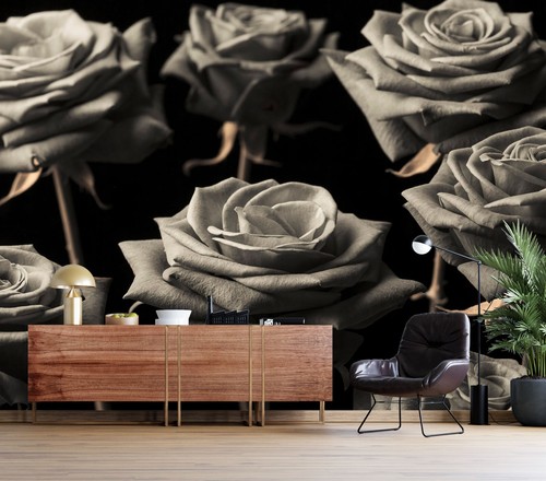 Gray rose b417 wallpaper - rose,