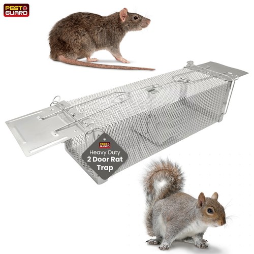 Rat trap squirrel door mouse - trap,