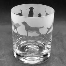 LABRADOR Frieze Boxed 30cl Glass Whisky Tumbler