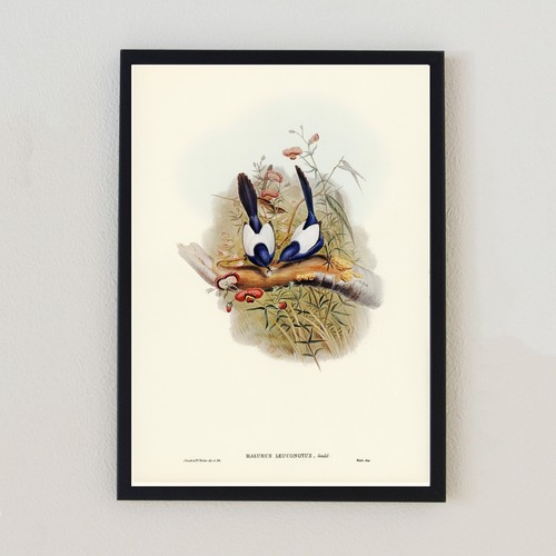 Antique birds vintage - antique,