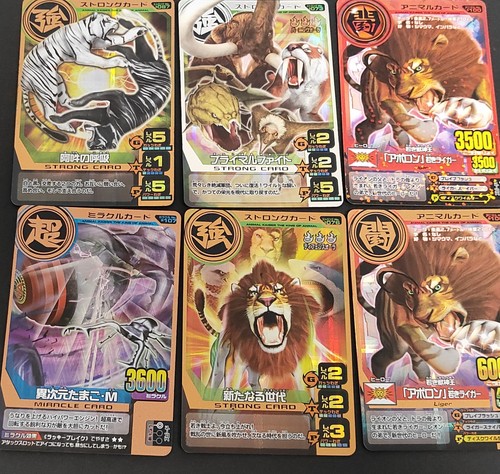 Animal kaiser holographic - animal, card