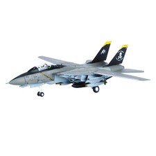 1/100 F-14 Tomcat US Fighter