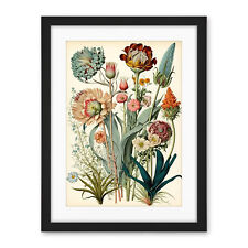 Haeckel Inspired Vintage