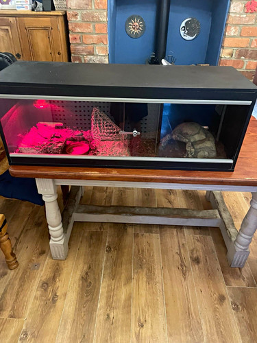 Glass front opening - opening, reptile