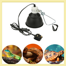 220V Reptile Heat Light Bulb