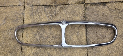 Genuine jaguar type pre - jaguar, x