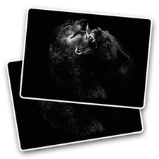 2x Vinyl Sticker Fierce Black
