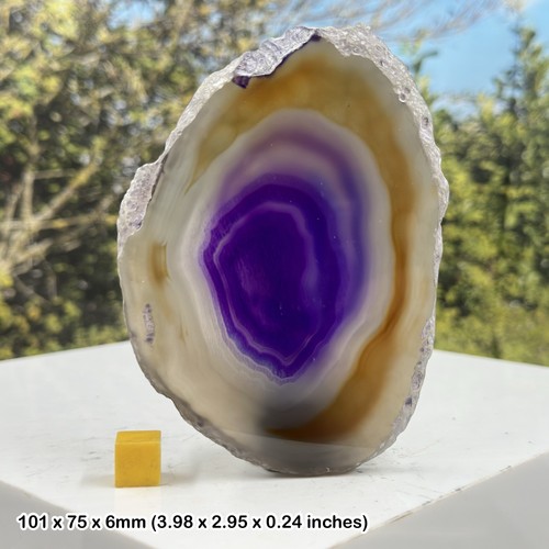 Agate slice authentic - agate,