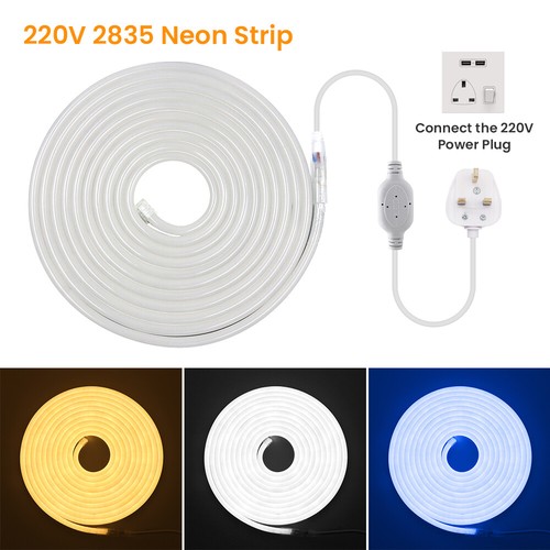 100m 2835 neon - neon, strip