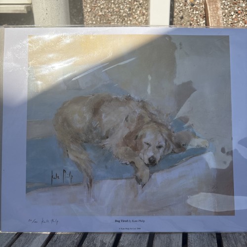 Kate philp dog - kate,