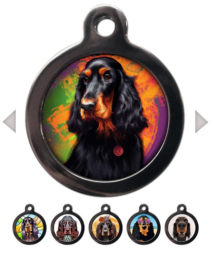 Gordon setter breed - gordon,