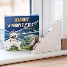 Fly Catcher Trap Window Flying