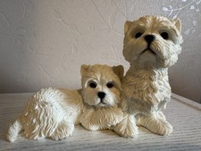 West Highland Terrier Puppies