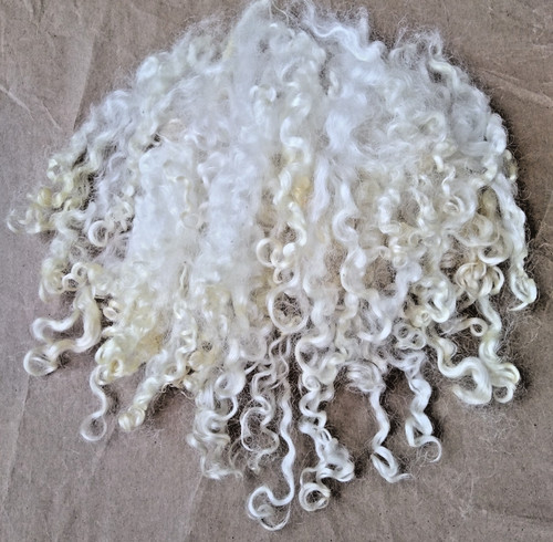Washed teeswater craft locks - washed,
