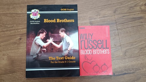 Blood brothers revision books - brothers,