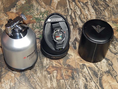 Vintage citizen windsurfer - vintage,