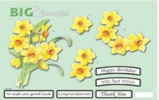 Big and Beautiful A4 Die Cut