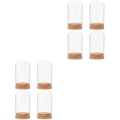 Medium glass cloche - cloche, clear